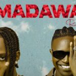 Sani Boy – Madawa (Remix) Ft Mr Seed