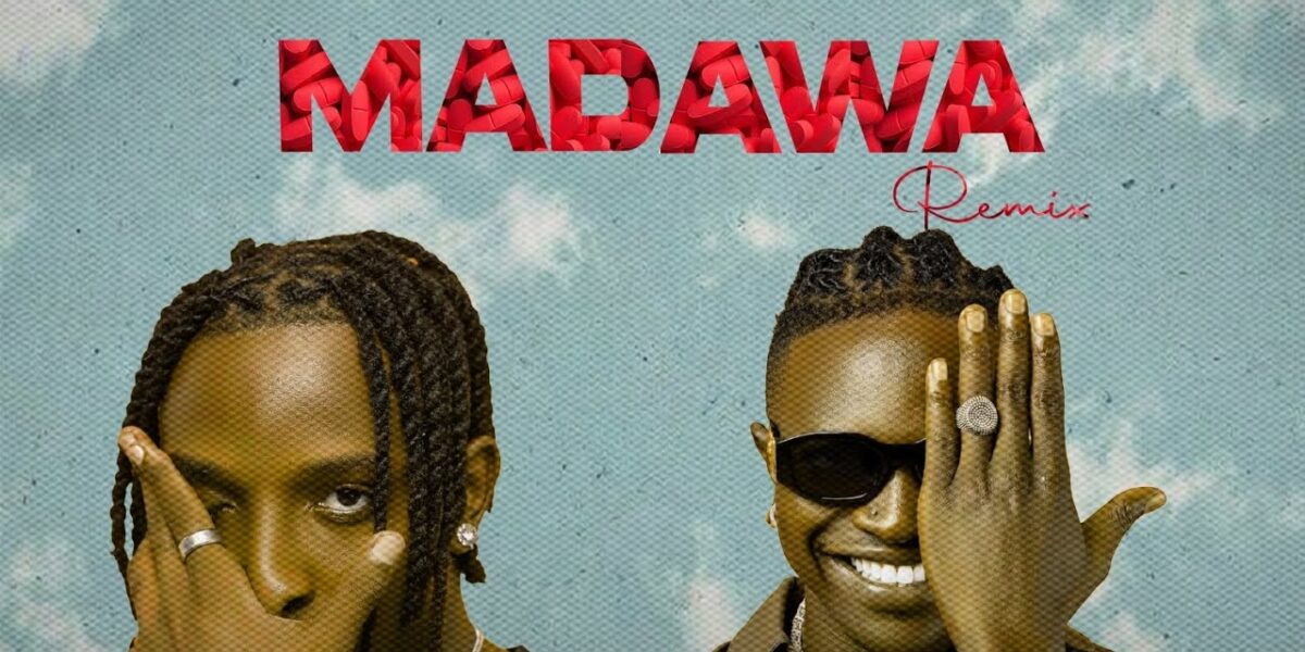 Sani Boy – Madawa (Remix) Ft Mr Seed