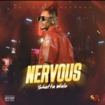 Shatta Wale – Nervous