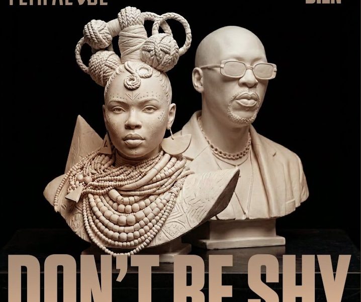 Yemi Alade – Don’t Be Shy Ft Bien