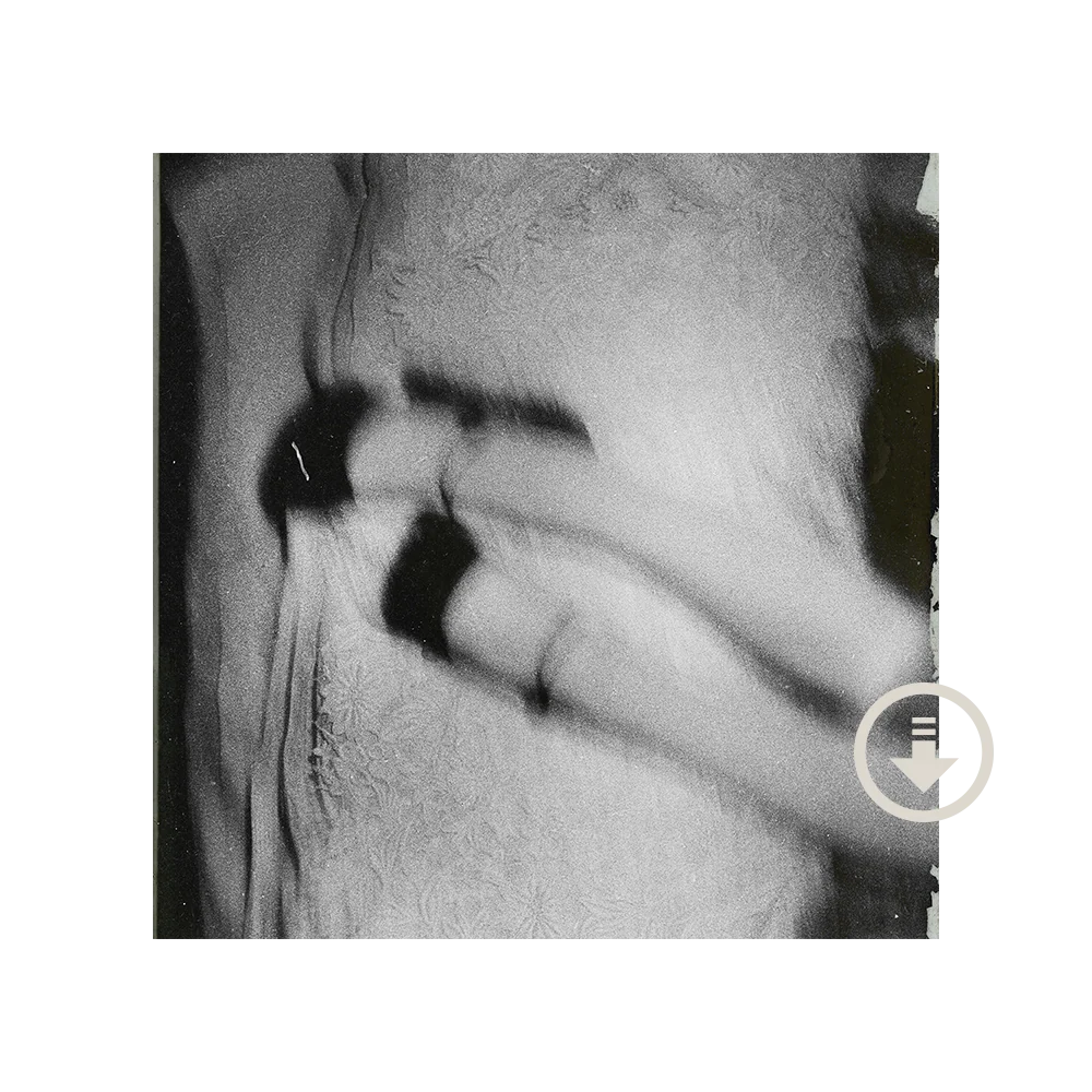 Ariana Grande – Petal