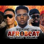 DJ SPARK – TOP AFROPARTY HIT SONG VIDEO MIX 2026