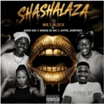 Mr_T.Block – Shashalaza ft Bodese De Mic, Jaypee Shortss23 & Queen Bae