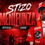 Stizo – Umenifunza